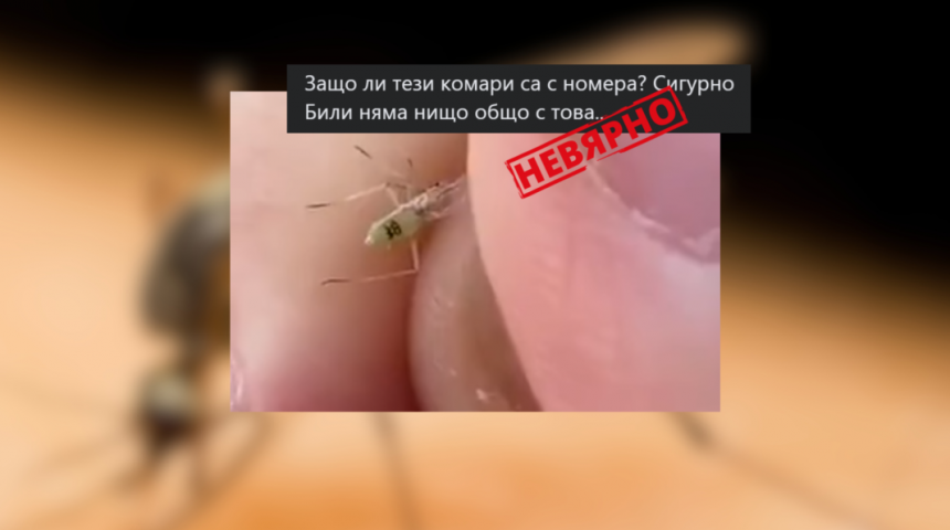 Не, това не е „комар със сериен номер“, нито е от ферма на Бил Гейтс