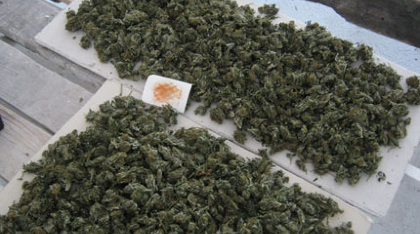 Половин килограм дрога откриха да съхне в къща в Градница